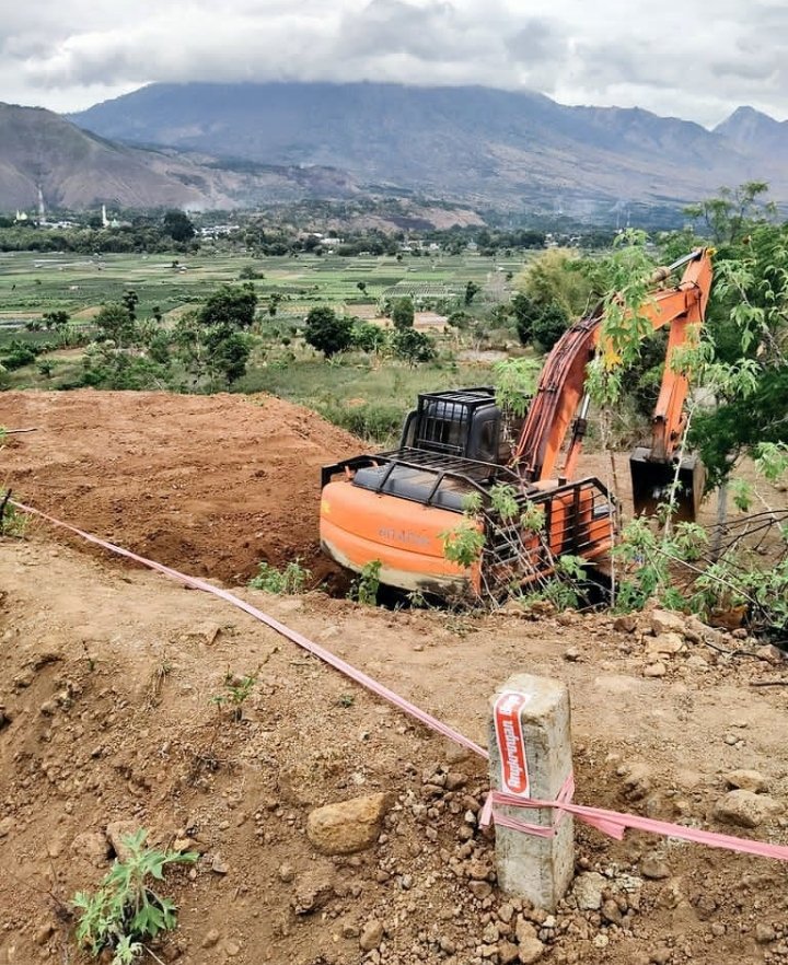 Ilse_NFT tweet media