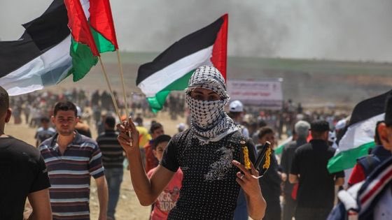 RKM🏴☠️ tweet media