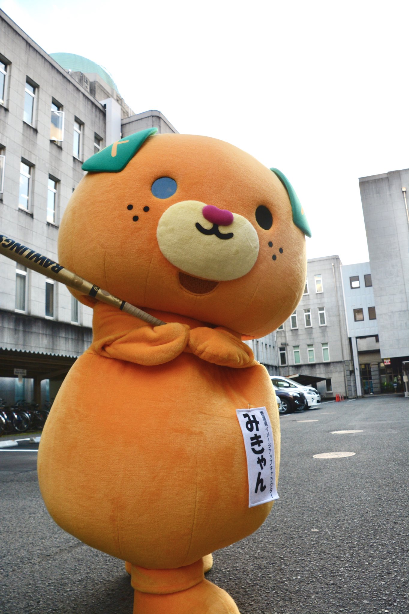 みきゃん 公式 愛媛県イメージアップキャラクター こんにちきゃん ᆺ きょうはみきゃんも気合い入れとるんよ 応援たのしみやけ ん みきゃん 愛媛県 マイナビオールスターゲーム22 T Co Iiupeezggr Twitter
