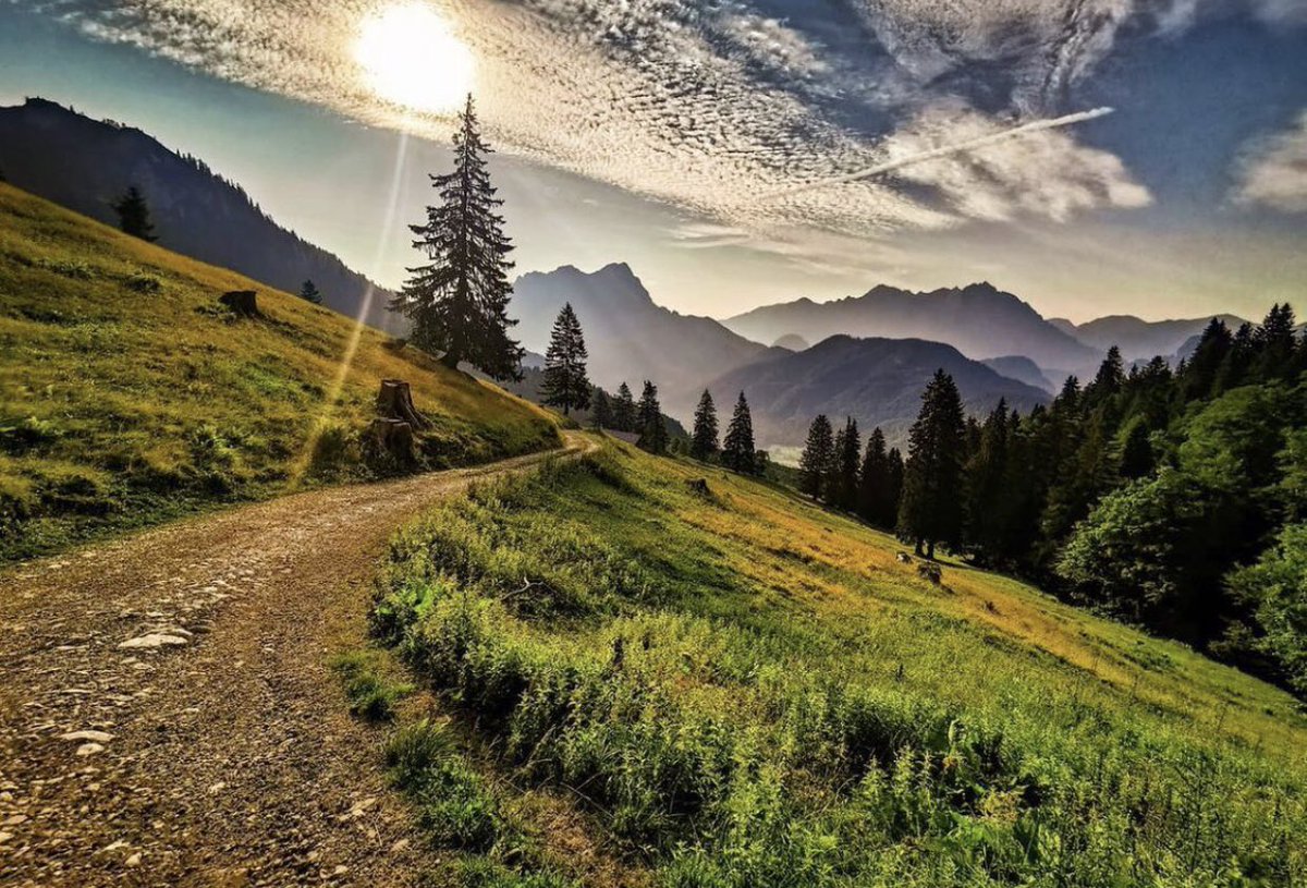 Good afternoon Wednesday Dear Twitter Friends