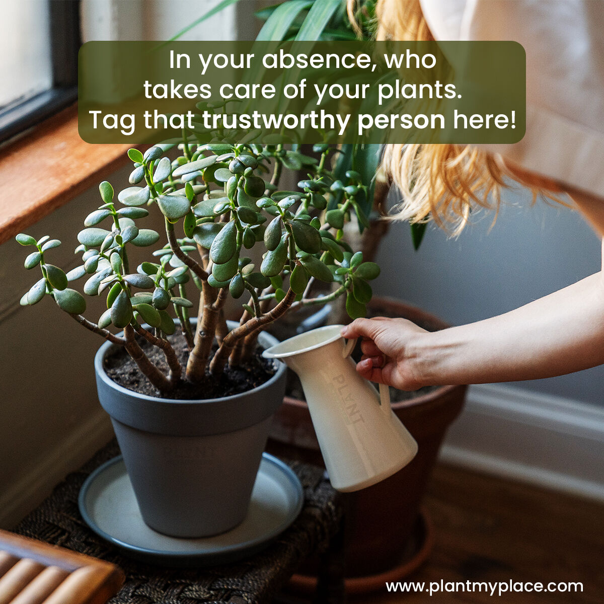 plantmyplacein's tweet photo. Tag that trustworthy person here!
#plants #plantperson #plantlover #plantparent #plantcommunity #plantingtips #gardeningisfun #gardeningstories #plantmyplace #plantparenthood #plantlessons #plantcare #plantlife #plantsforhome #plantaddict #plantparentclub #plantparenting https://t.co/7YaQZ3RlC8