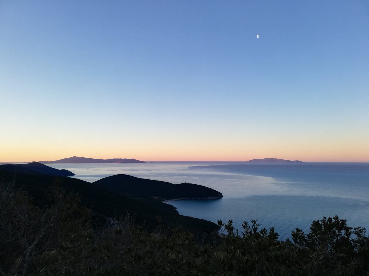 FrancescaAlder3's tweet photo. The good side of measuring water potential at predawn!🌅
 Enjoying the view with @CassandraDetti @Anto_gori @CeciliaBrunett2 https://t.co/F9pwkphBVd