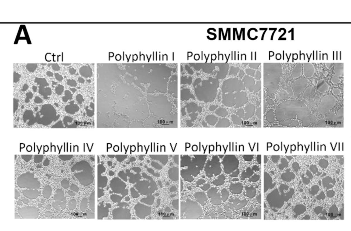 #ImageForensics
Eight panels, but are they all unique? Look careful and find an overlap!