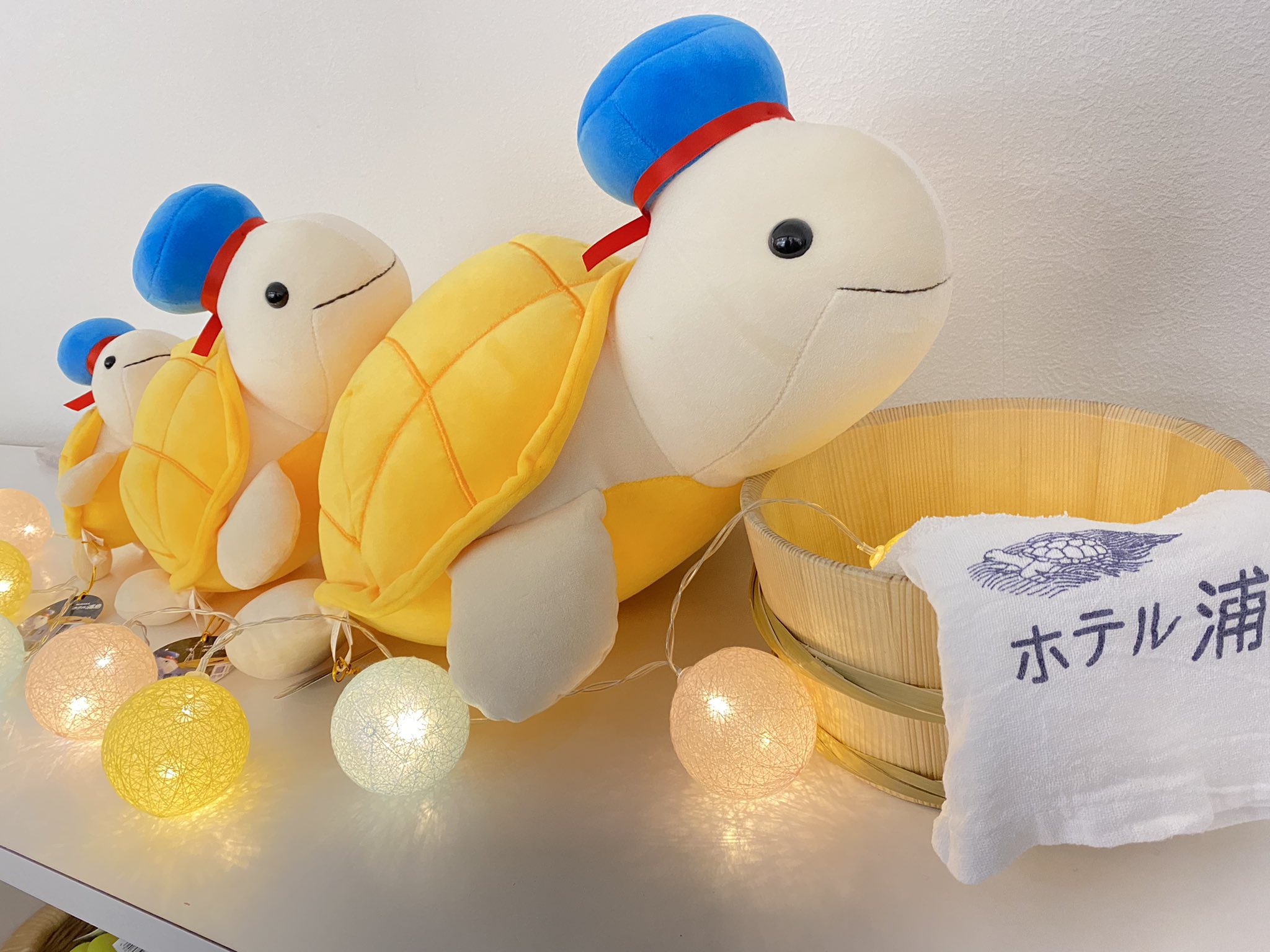 ホテル浦島 【公式】 on X:  