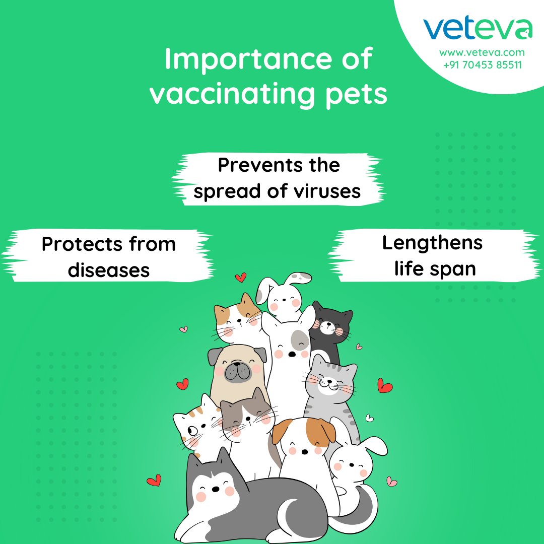 vetevacares's tweet photo. Keep up with the vaccination and deworming schedules of your pet to ensure their long and healthy life. Consult with vets on https://t.co/eDAEzqAImx to get a complete vaccination chart based on the age of your pet.
 #vet #vetonline #vetconsult #vetconsulting #vetonlineconsult https://t.co/ZbdrG9DIS3