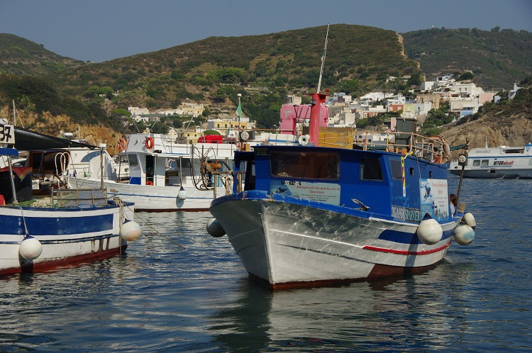 CiaoNico's tweet photo. #Latium, #Ponza: #Ausflug mit einem #Fischerboot 👉https://t.co/dnc3y7mvSO @visit_lazio @tesoridellazio @visitponza @FaroGuardia @SonoitaliaInfo https://t.co/rnZtMBPi3Y