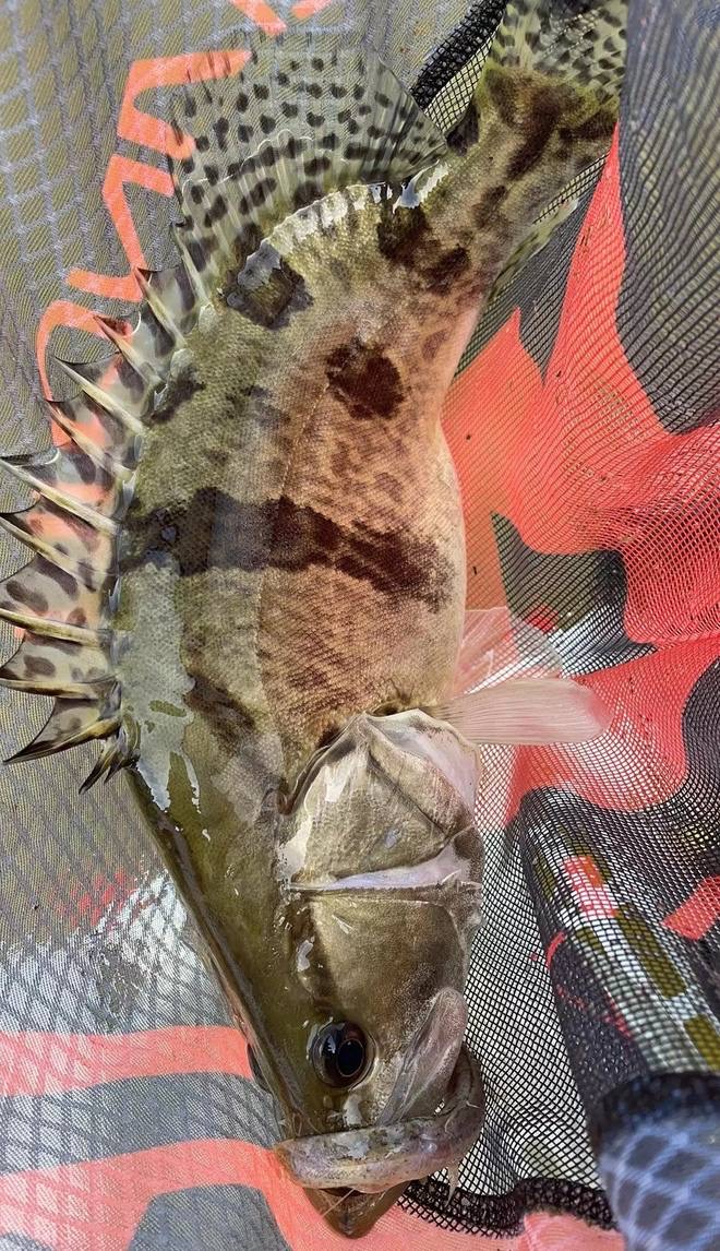 XeXya8w's tweet photo. 釣りはとてものんびりした生活様式です。
#釣りガール #釣り #釣り女子 #fishing #fishinglife
#낚시 #fishinggirls #instafish #fishingdaily #saltwaterfishing #angler #釣り好きと繋がりたい #オフショア #ocean #東レ #TORAY #東レモノフィラメント #ソラローム #SOLAROAM #バス釣り https://t.co/0bkpQ3JAw2