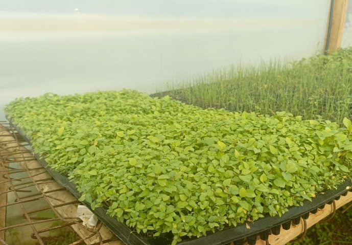 TransFarm Ventures tweet media