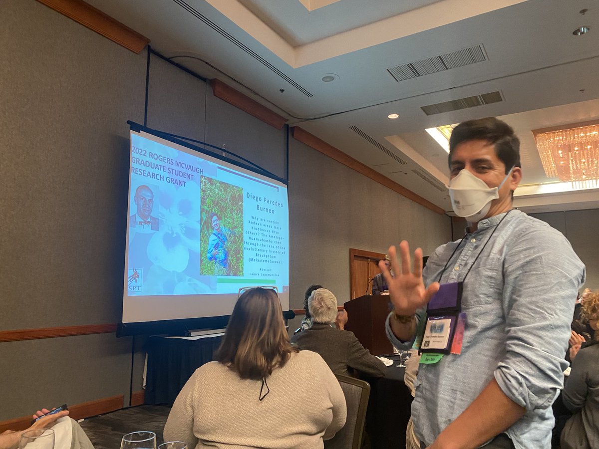 Fabián A. Michelangeli (@pedoconnective) on Twitter photo Two of the <a href="/AmSocPlantTaxon/">American Society of Plant Taxonomists</a> graduate student awards went to #Melastomataceae systematics. Juan Ángulo studying dioecy in Andean #miconia and <a href="/evoyeyo/">Diego Paredes-Burneo</a> working with #brachyotum #botany2022 Two of the <a href="/AmSocPlantTaxon/">American Society of Plant Taxonomists</a> graduate student awards went to #Melastomataceae systematics. Juan Ángulo studying dioecy in Andean #miconia and <a href="/evoyeyo/">Diego Paredes-Burneo</a> working with #brachyotum #botany2022