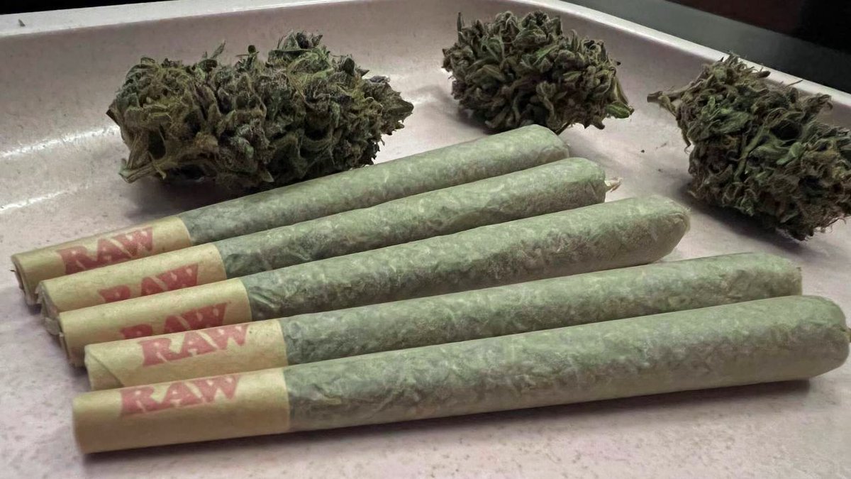 GoGreenMY420's tweet photo. My type of lunch, what you having today?

Strain : Ayahuasca Purple

#kualalumpur420 #thcmalaysia #stonermalaysia #malaysiastoner #jb420 #sativa #indica #cannabisculture #penang420 #kakistone #tenangisgood #malaysianstoner #420malaysia https://t.co/1qbPHh6HjV