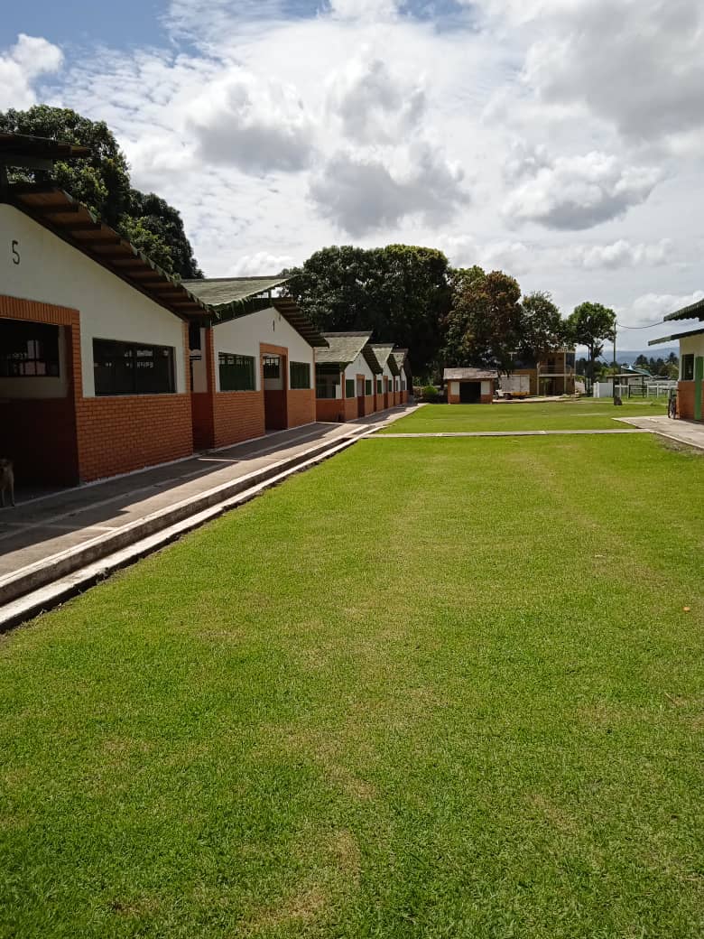 Seguimos trabajando desde temprano en nuestro <a href="/HarasUrama/">Haras Urama</a>