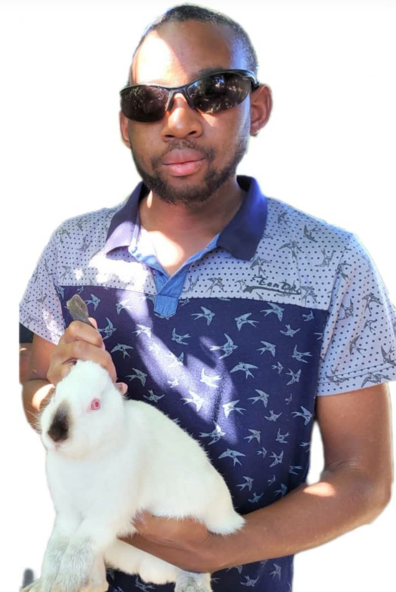 Deaf Zimbabwe Trust tweet media