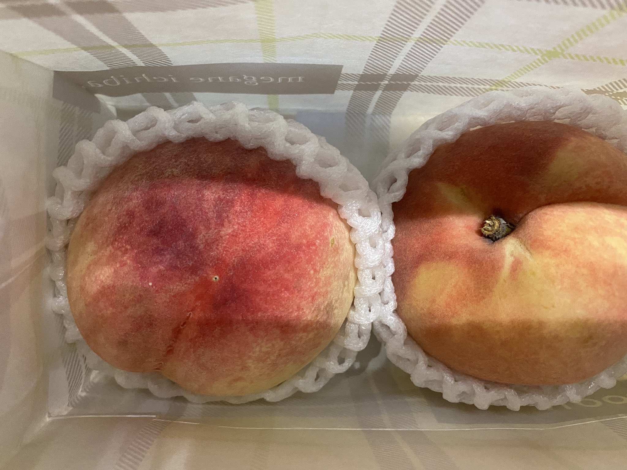 カードマスター塚口店 すもももももも桃ももももももももも すっごく香りのいい桃をお客様から頂きました 先日は 別のお客様からたこ焼き頂きました ほんまにいつもありがとうございます T Co Gcwm3oknqw Twitter カードマスター塚口店 すもももももも桃ももももももももも すっごく香りのいい桃をお客様から頂きました 先日は 別のお客様からたこ焼き頂きました ほんまにいつもありがとうございます T Co Gcwm3oknqw Twitter