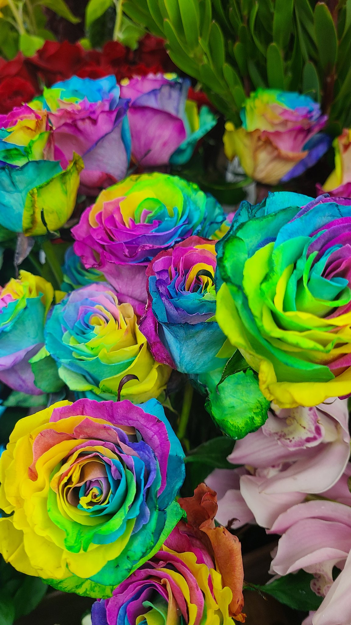 تويتر Flowershop 愛 على تويتر 皆さんにぜひみてもらいたいです 久しぶりに生花の レインボーローズ がたくさん入荷しました なかなか競りにかからず 入荷待ちのお客様が何名かいます 花言葉 奇跡 無限の可能性 皆さんに Happy