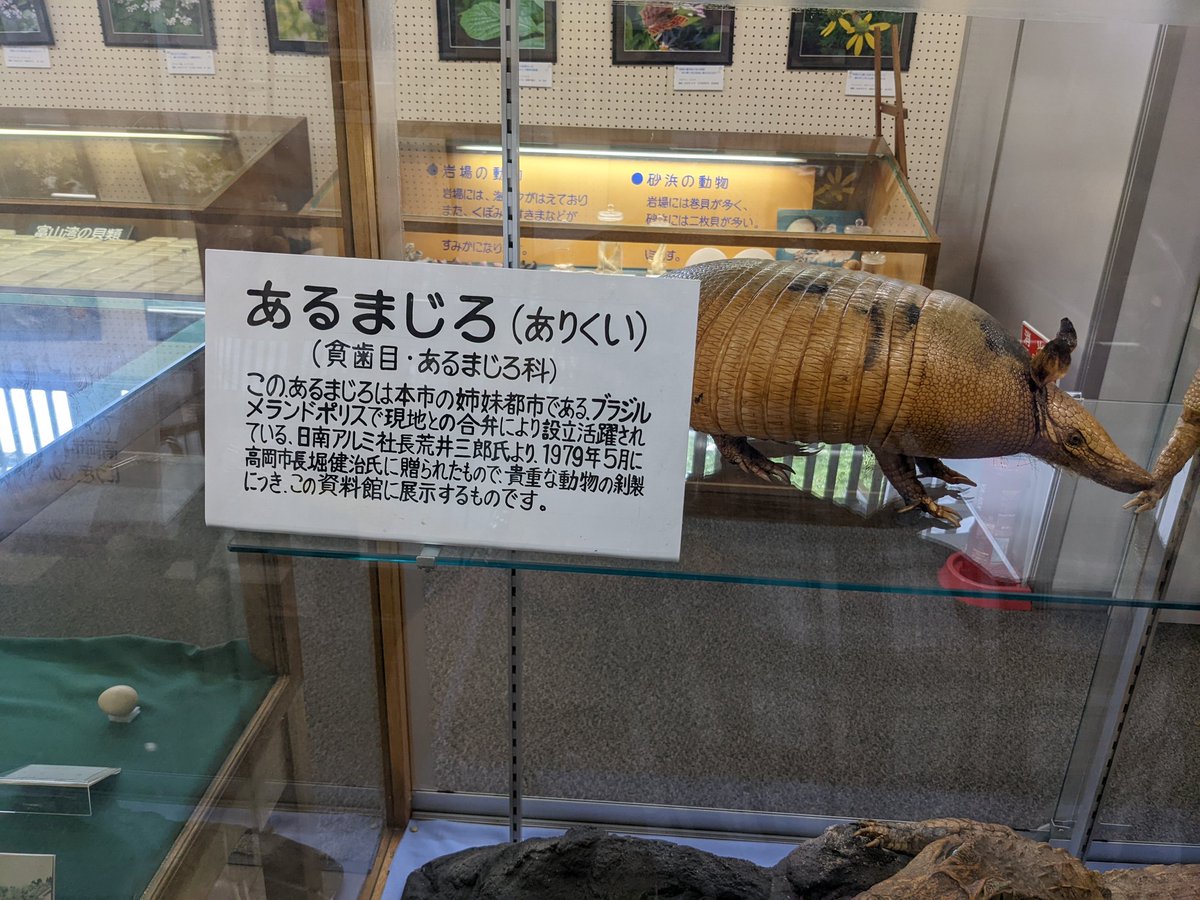 高岡古城公園動物園には小さな資料館があり、たくさんの動物の剥製が