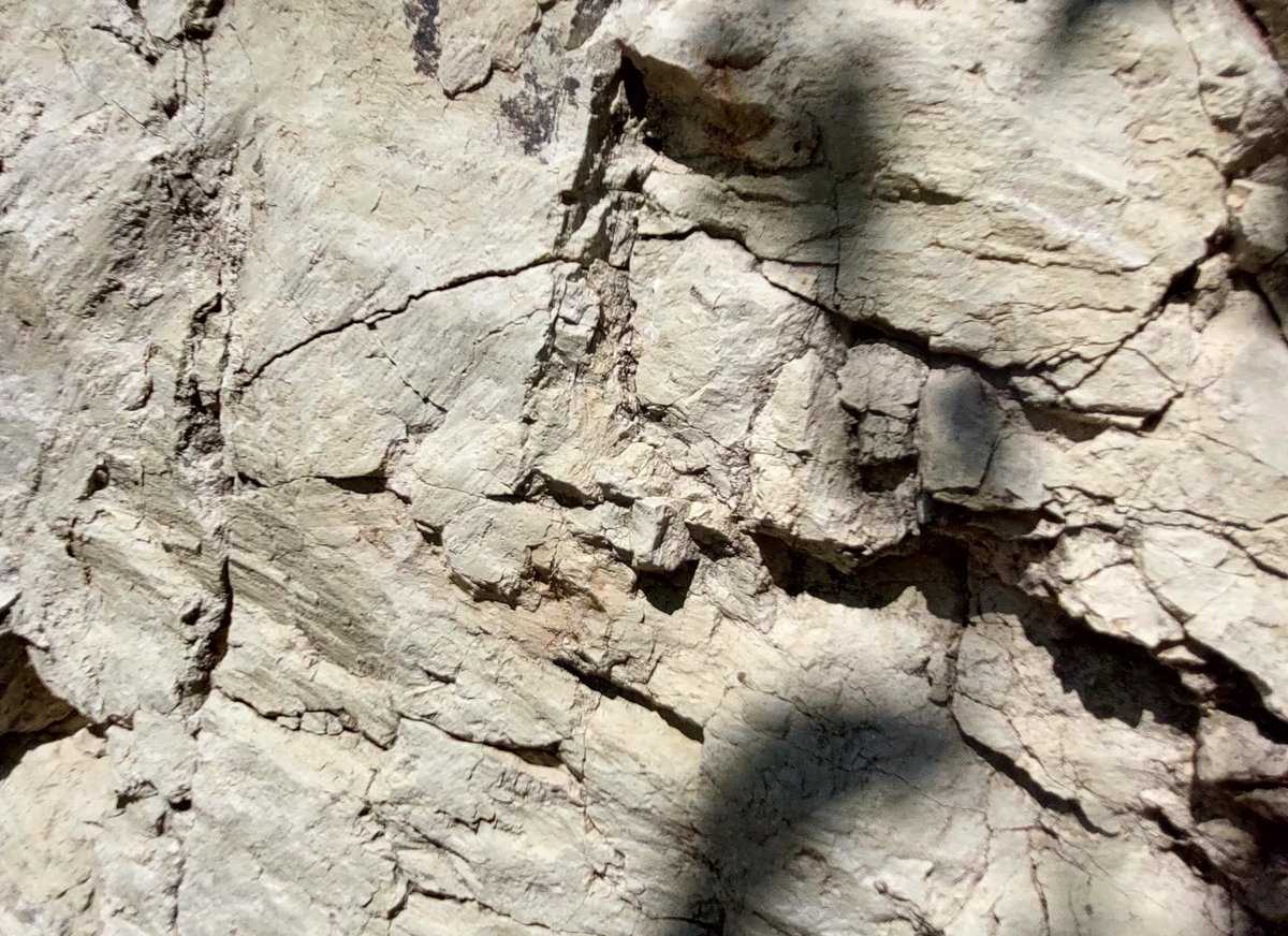 tsancar's tweet photo. Overprinted deformation #Aegean #Extensional Region #fieldwork #Geoscience #Geology #EarthScience #Tectonics https://t.co/ZQALcF8pCl