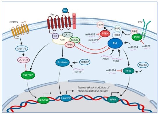 Cancers MDPI (@cancers_mdpi) on Twitter photo 🔊Today we share #Review "Recent Insights into Therapy Resistance in #Osteosarcoma"
👏by @ZPrudowskyMD and Jason T. Yustein <a href="/YusteinLab/">Yustein Lab</a> <a href="/bcmhouston/">BCMHouston</a> <a href="/TexasChildrens/">Texas Children's</a>
Access the paper here👉mdpi.com/2072-6694/13/1…
Keywords: osteosarcoma; chemotherapy resistance 🔊Today we share #Review "Recent Insights into Therapy Resistance in #Osteosarcoma"
👏by @ZPrudowskyMD and Jason T. Yustein <a href="/YusteinLab/">Yustein Lab</a> <a href="/bcmhouston/">BCMHouston</a> <a href="/TexasChildrens/">Texas Children's</a>
Access the paper here👉mdpi.com/2072-6694/13/1…
Keywords: osteosarcoma; chemotherapy resistance