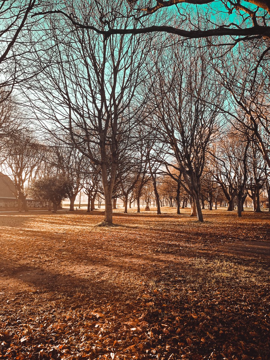 An inspiring view of Fairview Park just outside our Club in Clontarf... 💜
📸 Member's Archive 
#park #wellnesswednesday
