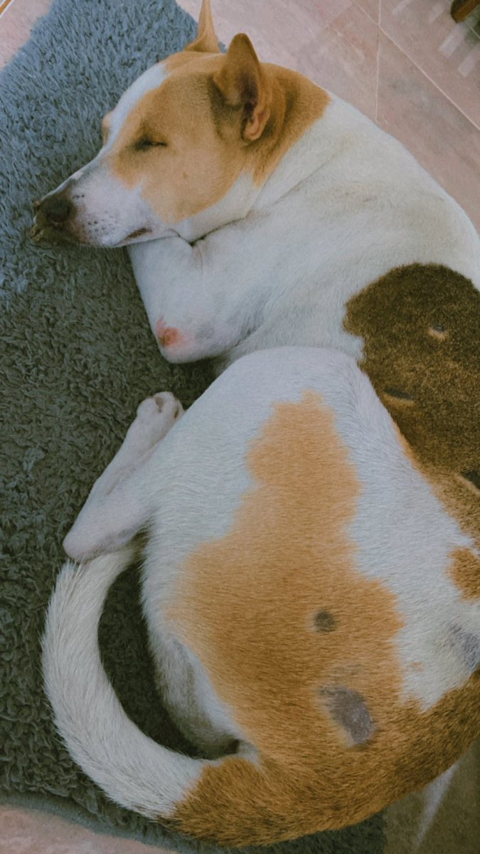 Our sleepy head ❤️