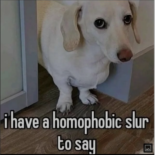 tanz_420's tweet photo. @wildtiktokss What about a homophobic dog 🤨 https://t.co/uKSTGtab1J