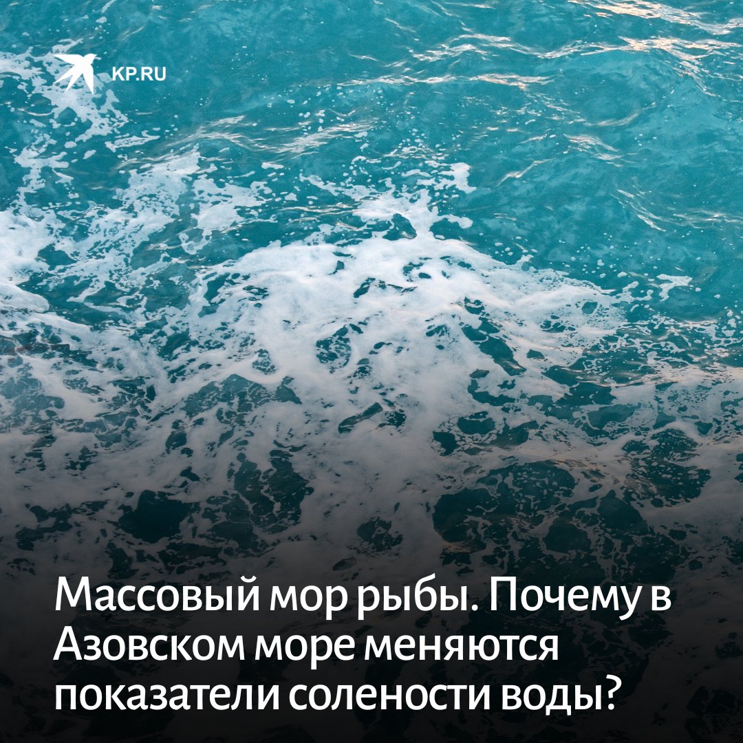 Установите соответствие объем воды в азовском море. Соленые воды Азовского моря. Азовское море вода. Вода в Азовском море соленая или пресная. Азовское море цвет воды.