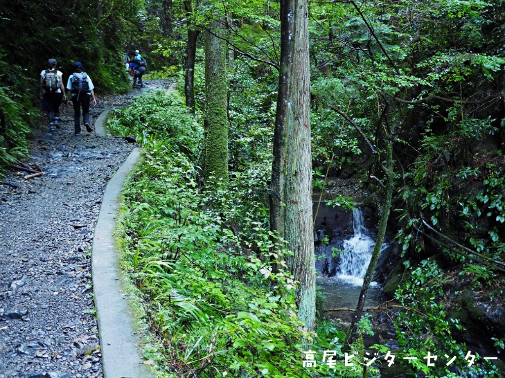 takaovc's tweet image. 暑い夏、 ＃高尾山 に訪れた時には6号路を歩くのがオススメです。登山道のすぐ隣に沢が流れているので、歩いていると涼しい風を感じられるとともに、本格登山が味わえます！夏は東京の自然公園で思いっきり遊びましょう♪

＃ビジターセンターに聞いてみよう