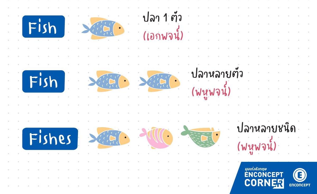 Fish = เอกพจน์🐟
I got a new fish for my birthday. 
(ฉันได้ปลามาหนึ่งตัวตอนงานวันเกิด)

Fish = พหูพจน์ 🐟🐟🐟
I have several fish now.
(ตอนนี้ฉันมีปลาหลายตัว)

Fishes = พหูพจน์ (ชนิด) 🐡🐠🐟
There are many different fishes in our pond.
(มีปลาหลายชนิดในบ่อนี้)
#TCAS66 #TCAS #dek66