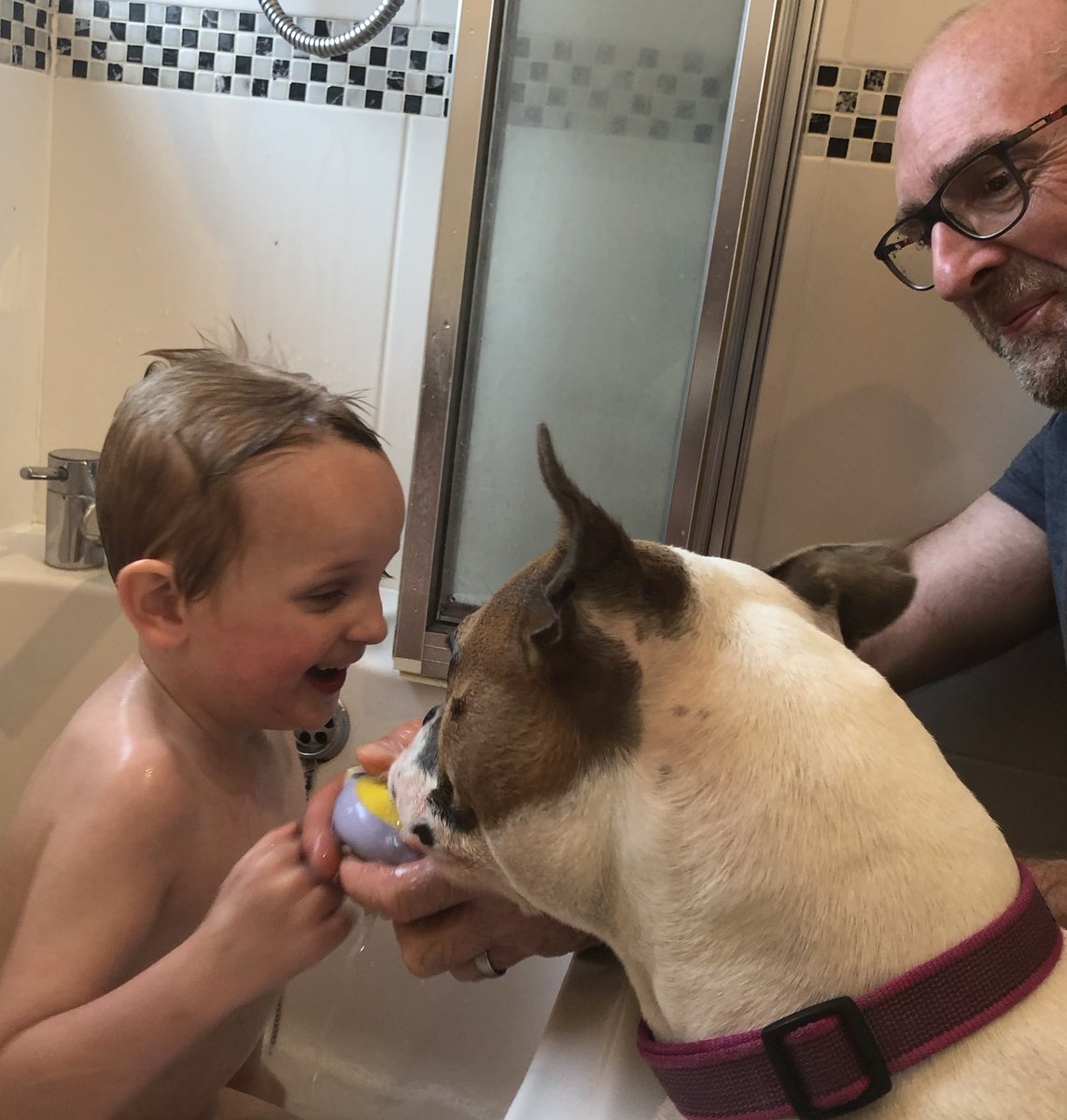 linda 👋🏼🐸 tweet media