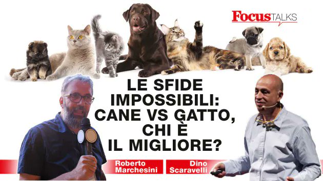 Focus_it's tweet image. Cane vs Gatto, chi è il migliore? Proviamo a fare il punto: 
focus.it/talks/le_sfide… 
#focustalks