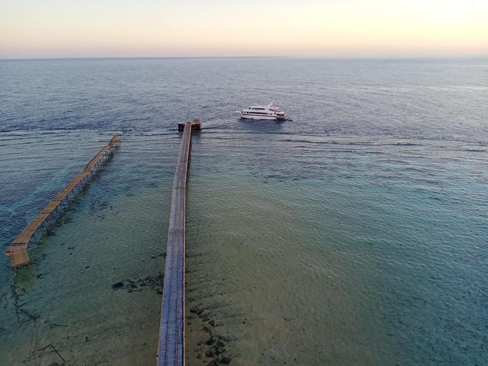 EmperorDivers tweet media