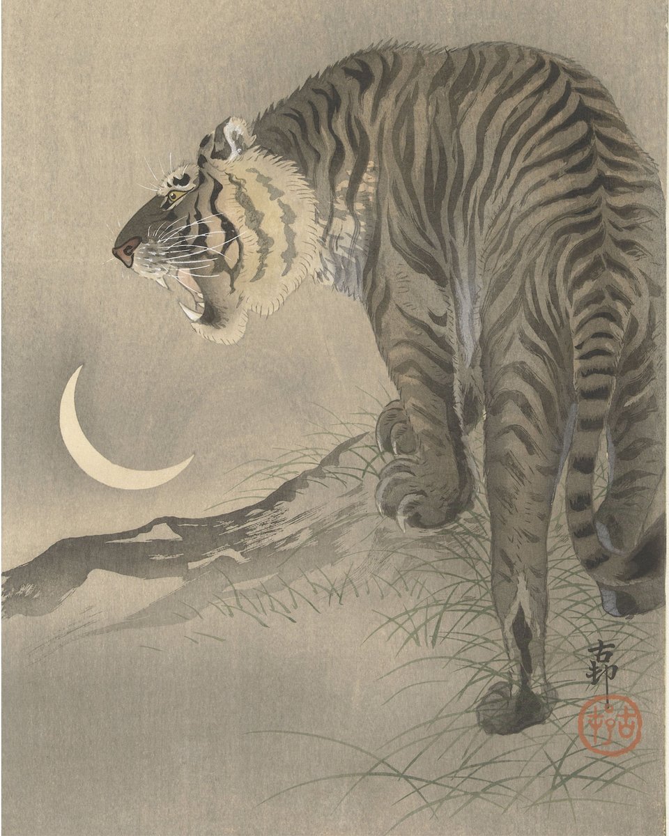 rijksmuseum's tweet image. 2022 is the Year of the Tiger and today is #InternationalDayOfTheTiger. 🐅 On this Japanese print, we see it as a force of nature, roaring at the moon. Its fur is dimly lit, the vibrant colours barely visible at night. 🐯

🖼️ Roaring Tiger, Ohara Koson, 1900 - 1945
