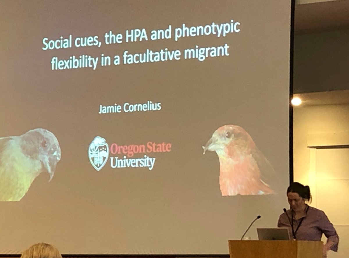 Kendra Sewall tweet media