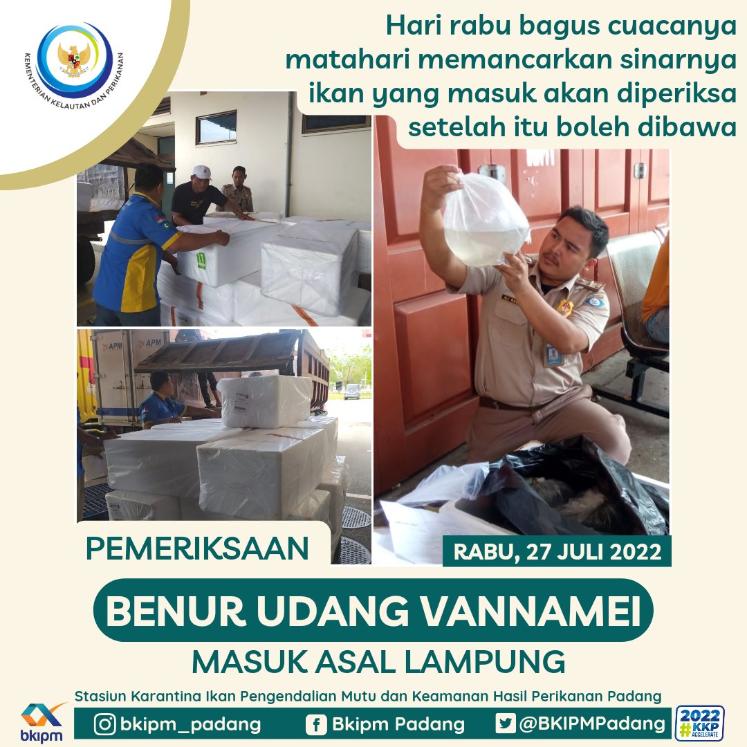 Hari rabu bagus cuacanya
matahari memancarkan sinarnya
ikan yang masuk akan diperiksa
setelah itu boleh dibawa