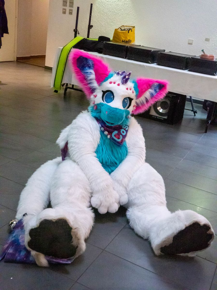 silver_jaybird's tweet photo. ATTENTION!!!

if you see this fursuit walking around on cons and events keep in mind that it's NOT ME anymore. this suit belongs to @talo00020

I also wanna say goodbye to my beloved sona. it's a shame I lost them but I can't do much about it.

Goodbye Cosmo https://t.co/HZSLNuN4tc