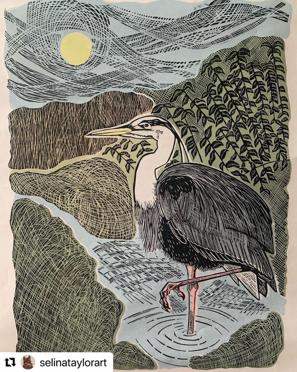 Shameless plug for my wife’s new #etsy shop #art #print #printmaking #printmaker #selinataylorart etsy.com/uk/listing/125…