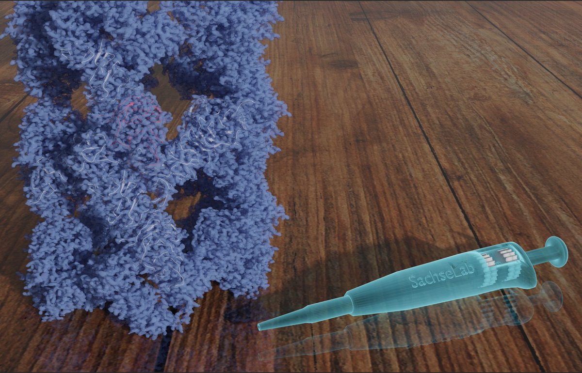 New research from our lab! We elucidated how Atg18 oligomers form structural scaffolds for membrane interaction. Lots of #CryoEM structures (Helical assemblies, SPA, subtomo) suggest a conserved interaction motif for Atg18-Atg2

biorxiv.org/content/10.110…