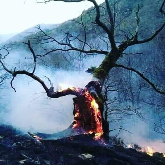 BRIF_PINO's tweet image. No heredamos la tierra de nuestros antepasados, tomamos prestada la de nuestros hijos.
La tierra puede satisfacer nuestras necesidades, no nuestra codicia.