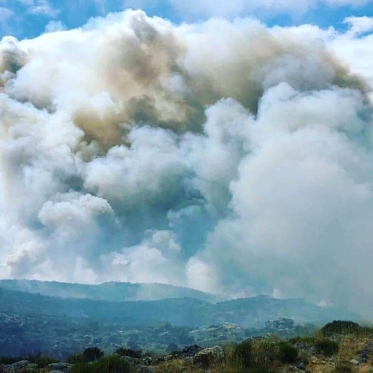 BRIF_PINO's tweet image. No heredamos la tierra de nuestros antepasados, tomamos prestada la de nuestros hijos.
La tierra puede satisfacer nuestras necesidades, no nuestra codicia.