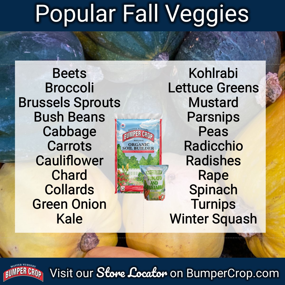 MN_BumperCrop's tweet photo. Here are some of the most popular fall veggies, which thrive when planted in Bumper Crop® Soil Builder and Bumper Crop® Tomato and Vegetable Food.  Read the article here: https://t.co/zRSqDsDTqW #BumperCrop #SoilBuilder #PlantFood #Organic #Vegetables #FallGarden #FallVeggies https://t.co/HAImq5xXfp