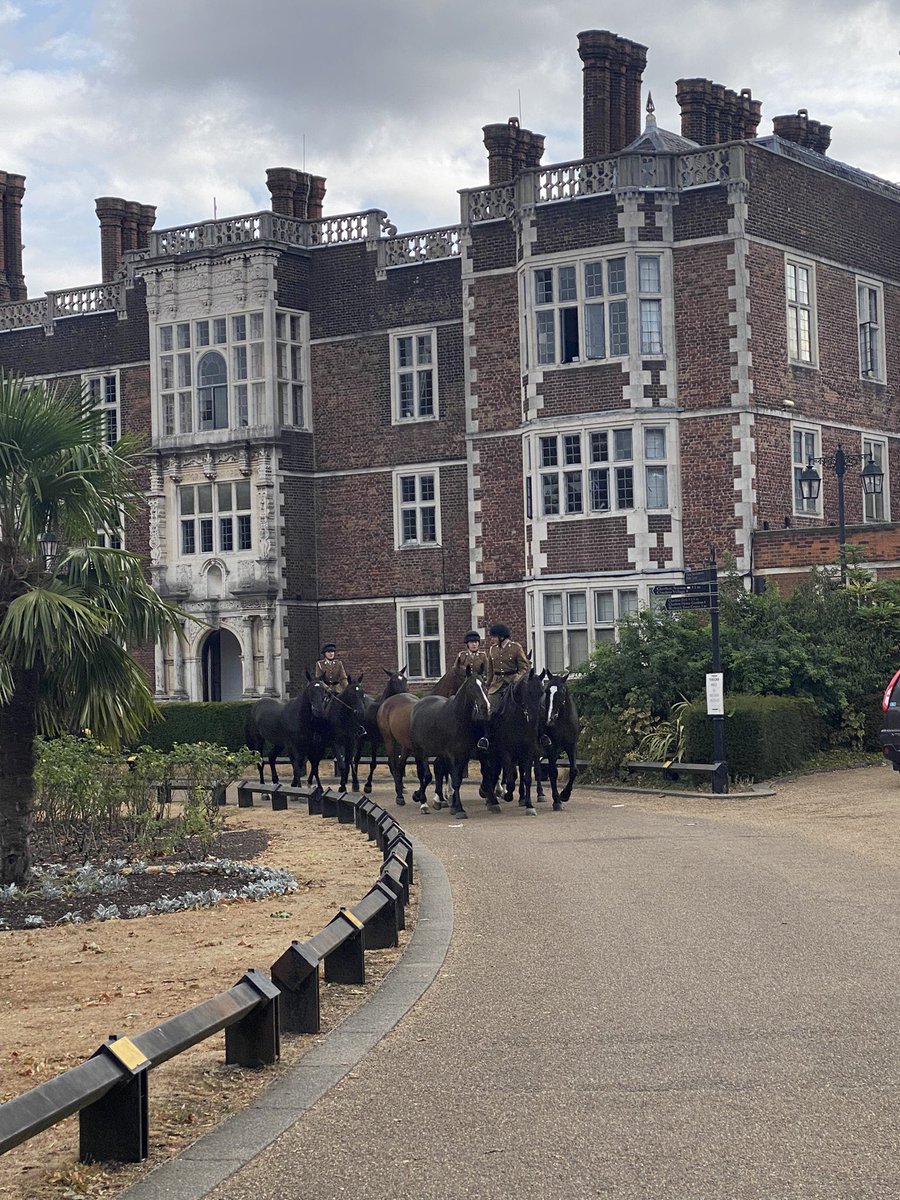 Meg Cable tweet media