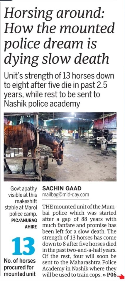 GaadSachin's tweet photo. The Mounted unit for @mumbaipolice which started after a gap of 88 years with much fanfare and promise has been left to die slow death. The officials now claim it was not well-thought-out plan adding it is just a ceremonial unit without much use. https://t.co/64ekxBqDeU