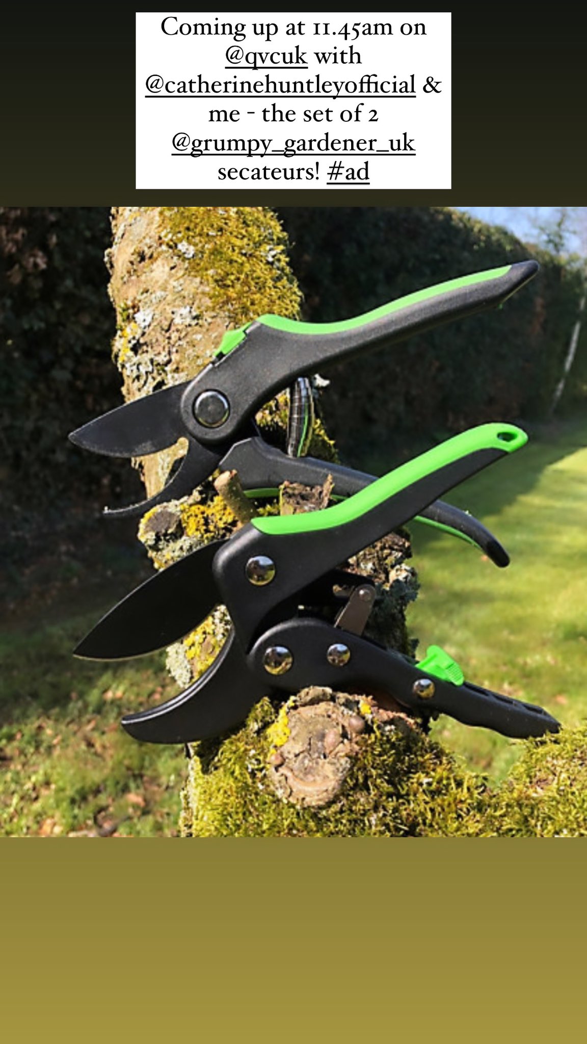Grumpy clearance gardener shears