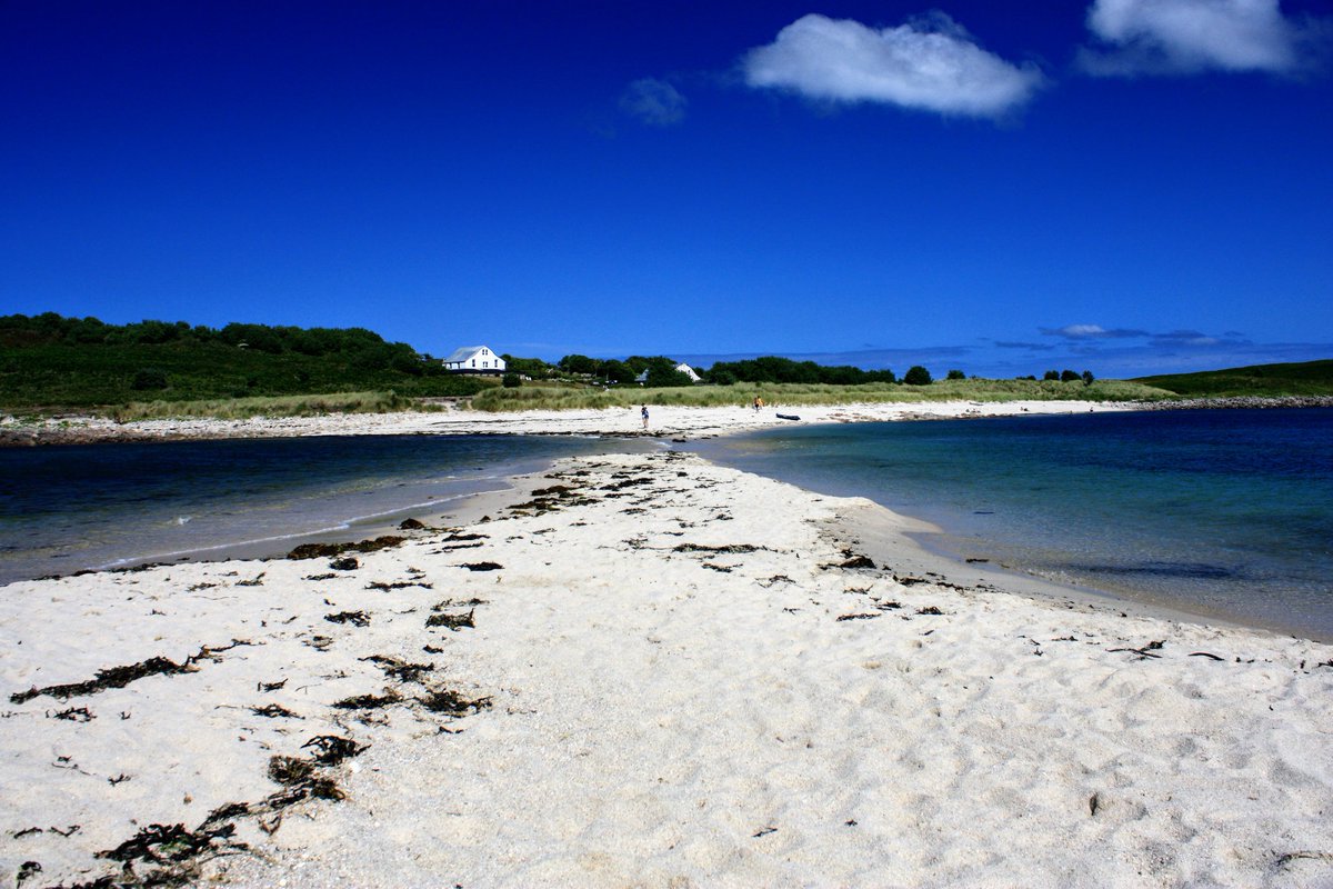 Peter Akrill tweet media