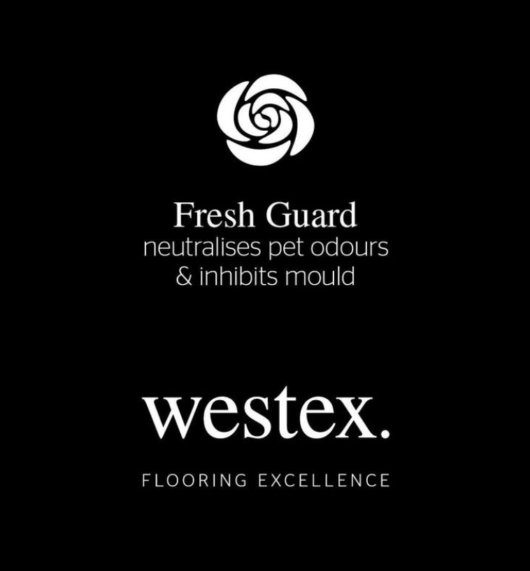 westexflooring's tweet photo. Our Fresh Guard feature eliminates pet odours and protects your carpet from mould, leaving your carpet fresher for longer. 
.
.
#westex #westexcarpet #carpet #homeinspo #interiordesign #homedecor #newcarpet #woolcarpet #smallhome #freshguard #carpetsuk #flooring #flooringuk https://t.co/BwY246UhYu