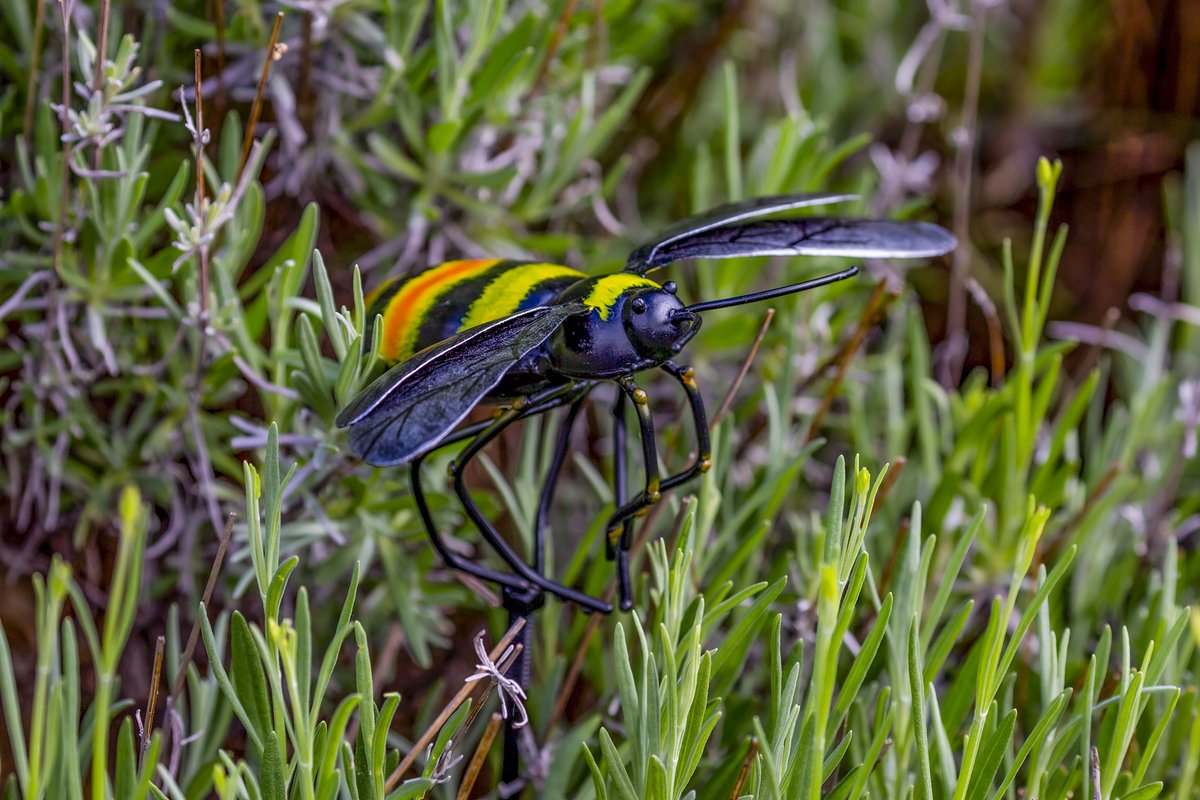 TravellersFinds's tweet photo. Very Hap-Bee Tuesday! 💕🐝
ℹ️ https://t.co/w6IGzGRL2G

🆕 Bumble Bee on a Stake 🐝
Decorative Metal Bumble Bee with metal support stake, bright yellow and black colours add interest to your garden, lawn and flower beds. 💐🌻

#bumblebee
#bees
#gardeninspiration https://t.co/cFTjVLbNLr