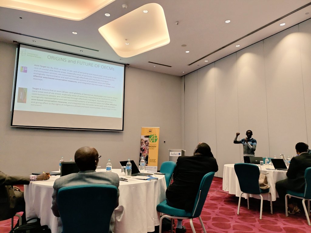 @Frankfao from @IucnE elaborates on Other Effective Area-Based Conservation Measures (OECMs) in the context of developing a National Biodiversity Coordinating Mechanism for #Kenya 

@biodev2030