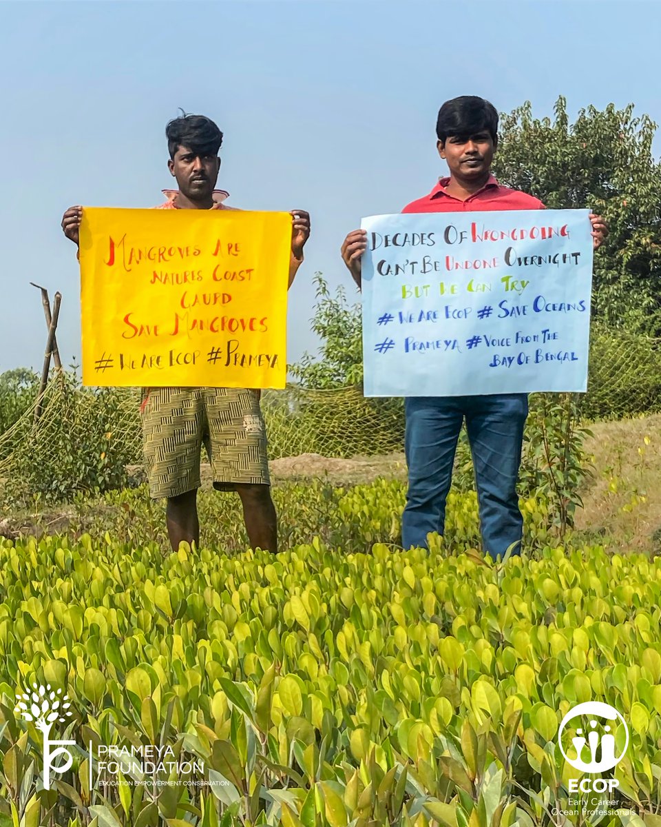 Happy World Mangrove Day! Today we highlight the work of partners @PrameyaFoundatn who are championing Mangrove restoration and education in the Sundarbans. Read their ECOP story here: tinyurl.com/bdeefaae Watch their videos on our Youtube channel: tinyurl.com/4yaadtzj