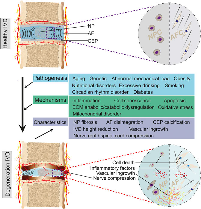 Physio Meets Science tweet media