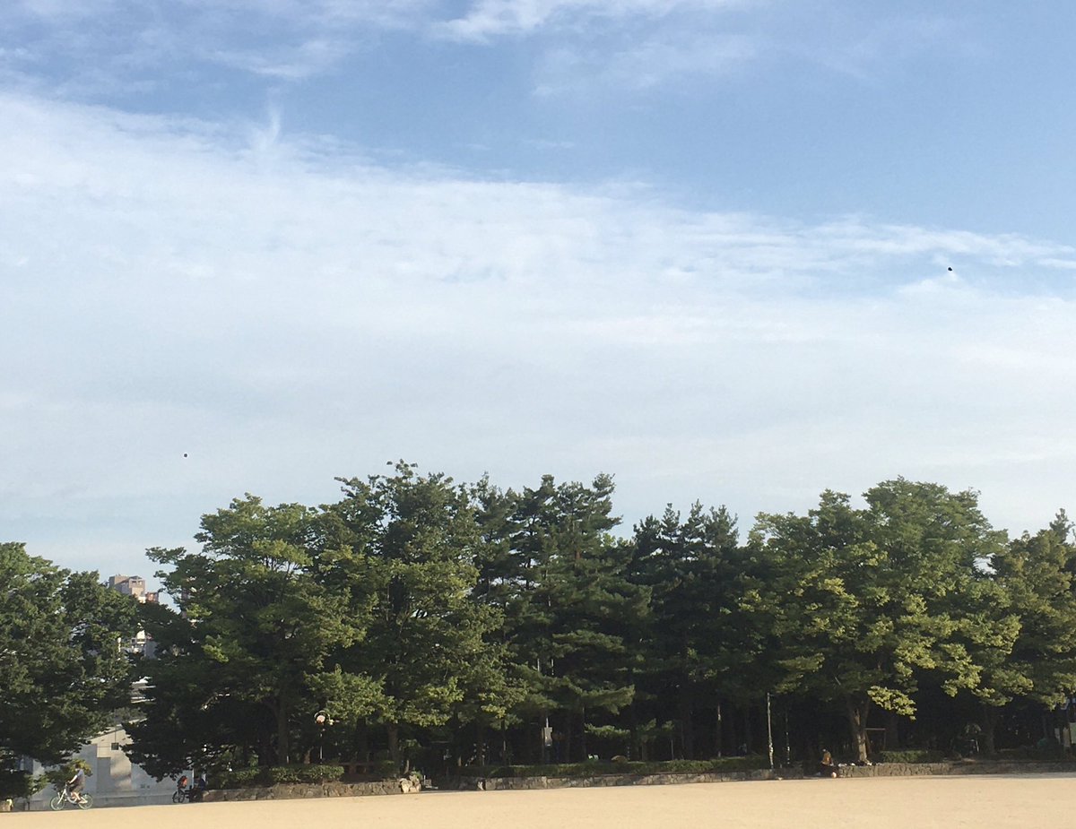 으쌰으쌰하자  공원엔 어르신들이 더 열심히 운동하신다. 머리가 복잡할땐 종종 나가서 멍때리는것도 괜찮은거같다.