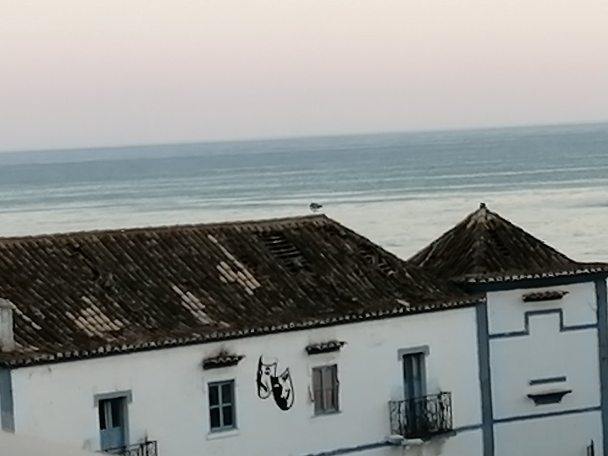 Sandra C. R. Barata tweet media